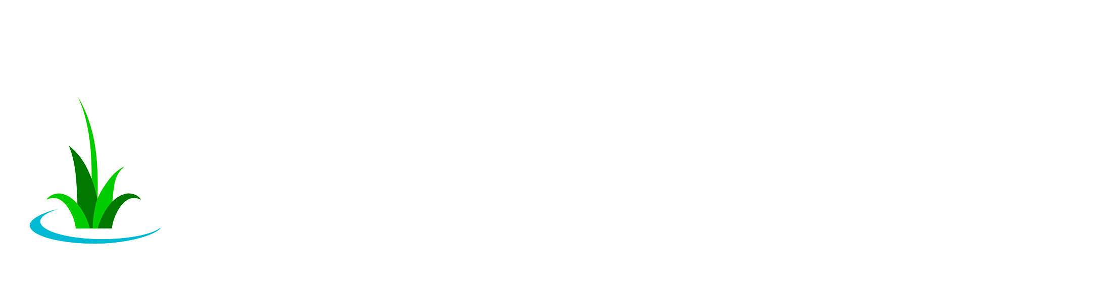 生前整理・遺品整理のトータルサポート　レクリア ～Reclear～